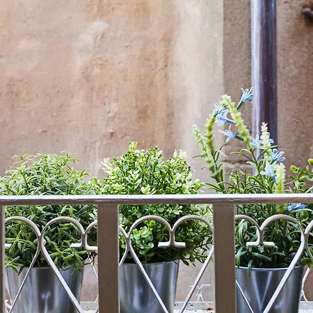 Wood And Stone In The Historical Center * Genoa